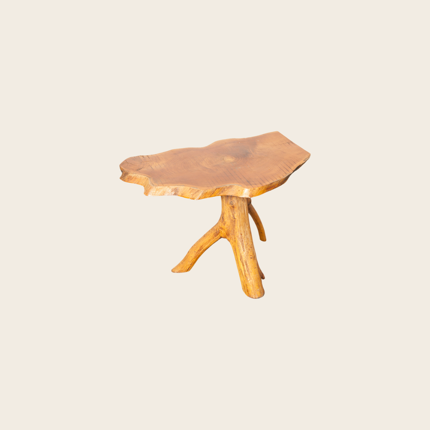 Rinoterro